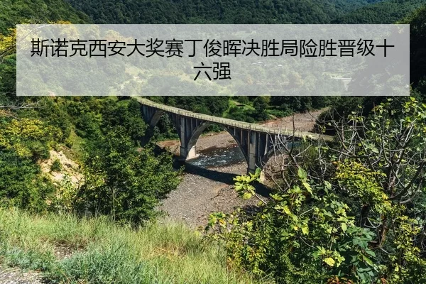 si-nuo-ke-xi-an-da-jiang-sai-ding-jun-hui-jue-sheng-ju-xian-sheng-jin-ji-shi-liu-qiang-2-852.jpg